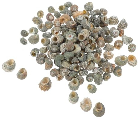 Aquarium Muschel Dekoration 100 Stück Natürliche Muschelschalen