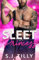 Sleet Princess: Book Four of the Sleet Series
