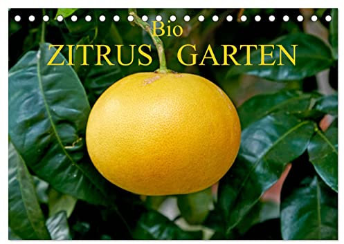 Bio Zitrus Garten (Tischkalender 2025 DIN A5 quer), CALVENDO Monatskalender: Ein fotografischer Streifzug durch den exotischen Citrus Garten CERON (CALVENDO Lifestyle)