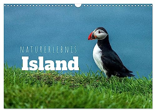 Naturerlebnis Island (Wandkalender 2026 DIN A3 quer), CALVENDO Monatskalender: Panoramen der Insel aus Feuer und Eis (CALVENDO Natur)