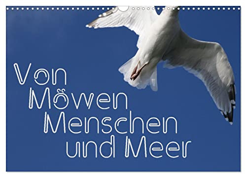 Von Möwen, Menschen und Meer (Wandkalender 2026 DIN A3 quer), CALVENDO Monatskalender: Der Mensch und die Möwe - eine immer wieder spannende Geschichte (CALVENDO Menschen)