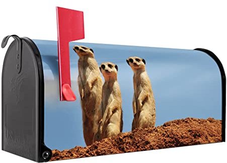 banjado® Amerikanischer Briefkasten - US Mailbox/Letterbox mit Motiv Erdmännchen 3 51x22x17cm - Postkasten Stahl aus Amerika – Briefkasten amerikanisch pulverbeschichtet
