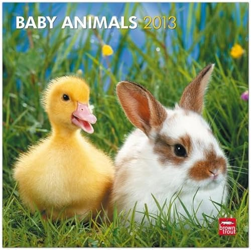 Baby Animals 2013: Tierbabies (Wall-Kalender)