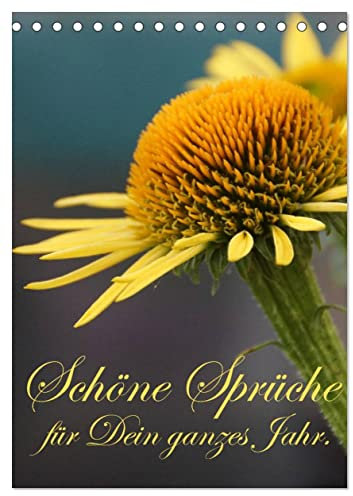 Schöne Sprüche für Dein ganzes Jahr (Tischkalender 2025 DIN A5 hoch), CALVENDO Monatskalender