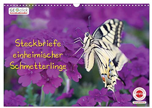 GEOclick Lernkalender: Steckbriefe einheimischer Schmetterlinge (Wandkalender 2026 DIN A3 quer), CALVENDO Monatskalender: Fotos aus dem ... mit kindgerechten Texten (CALVENDO Tiere)