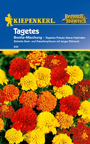 Kiepenkerl 0846 Tagetes patula niedrige Studentenblume Bonita-Mischung, Portionssaatgut, Inhalt reicht für ca.: 40 Pflanzen (1 Portion)