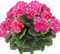 Marooma 4 Pezzi Cespuglio di Geranio Artificiale, Fiori Artificiali Pianta di Fiori di Seta Finti, Gerani di Fiori Finti Bianchi, Cespugli Finti Gerani Finti per Esterni, Piante