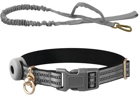 Collier pour Chien Réfléchissant en Nylon Réglable, Rembourré en Néoprène Souple et Respirant Ensemble Collier et Corde d'escalade pour Petits Moyens et Grands Chiens Réfléchissant Laisse (Gris)