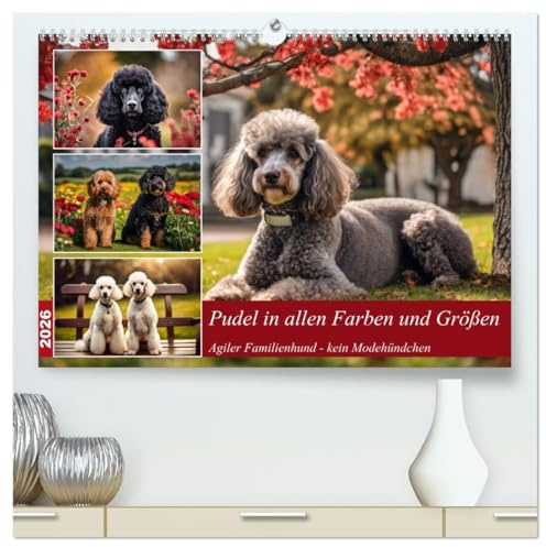 Pudel in allen Farben und Größen (hochwertiger Premium Wandkalender 2026 DIN A2 quer), Kunstdruck in Hochglanz: Agiler Familienhund - kein Modehündchen (CALVENDO Tiere)