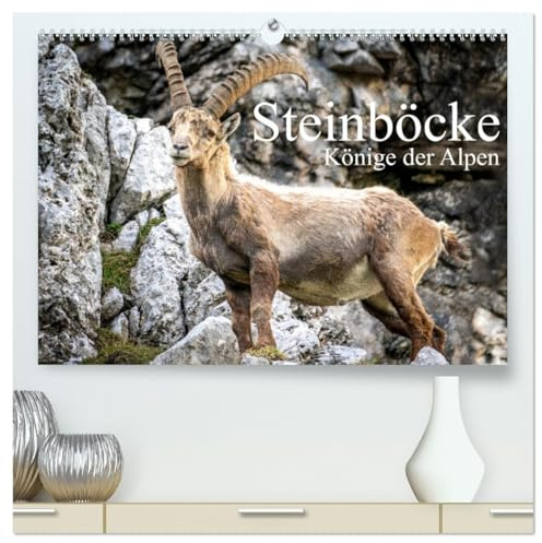 Steinböcke - Majestätische Tiere der Alpen (hochwertiger Premium Wandkalender 2026 DIN A2 quer), Kunstdruck in Hochglanz: Steinböcke in ihrem natürlich Umfeld (CALVENDO Tiere)