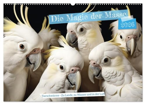 Die Magie der Masse (Wandkalender 2026 DIN A2 quer), CALVENDO Monatskalender: Die ultimative Teamarbeit! (CALVENDO Tiere)