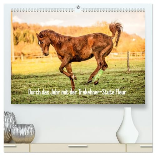 Durch das Jahr mit der Trakehner-Stute Fleur (hochwertiger Premium Wandkalender 2026 DIN A2 quer), Kunstdruck in Hochglanz: Bilder einer jungen Trakehner-Stute im Laufe des Jahres (CALVENDO Tiere)