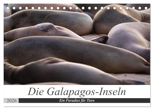 Galapagos-Inseln - Ein Paradies für Tiere (Tischkalender 2026 DIN A5 quer), CALVENDO Monatskalender: Die faszinierende Tierwelt der Galapagos-Inseln (CALVENDO Tiere)