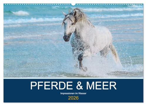 PFERDE & MEER (Wandkalender 2026 DIN A2 quer), CALVENDO Monatskalender: Pferde im Atlantik - eine Faszination der besonderen Art ... (CALVENDO Tiere)