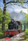 Eisenbahnen Kalender 2022: Wochenplaner, 53 Blatt mit Zitaten und Wochenchronik