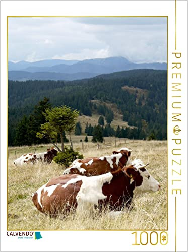 CALVENDO Puzzle Blick zum Belchen und Fleckvieh beim Wiederkäuen | 1000 Teile Lege-Größe 48 x 64 cm Foto-Puzzle für glückliche Stunden