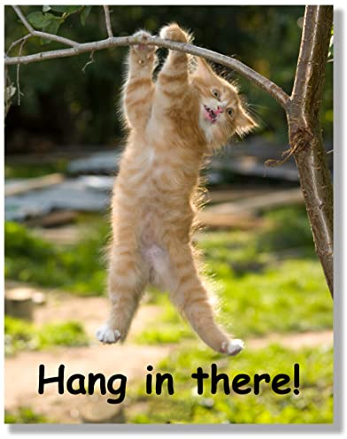 Poster Hang in There, gedruckt auf hochwertigem Kartonpapier, Größe 27,9 x 35,6 cm, perfektes lustiges Motivationsposter für Zuhause oder Büro, humorvolle Dekoration, lustiges Zitat