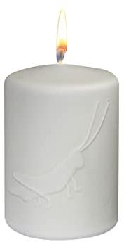 Kopschitz Kerzen Osterkerze Stumpenkerze Grashüpfer Hellgrün 100 x Ø 70 mm, Designerkerze Ostern, Frühling, Sommer