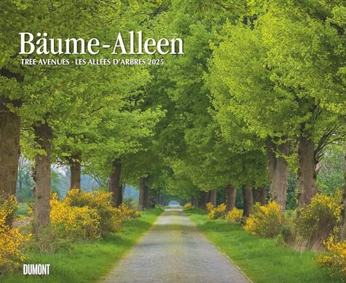 DUMONT - Bäume – Alleen 2025 Wandkalender 52x42,5cm, Kalender mit prachtvollen Bäumen angeordnet in Alleen, Großformat mit Spiralbindung