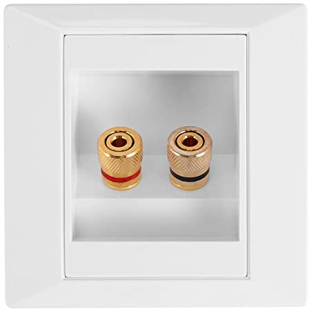 Steowsey Steowsey(R) prise murale Mur Prise de connexion port avec 2 prise pour Fiche banane haut-parleur-Blanc