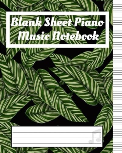 Blank Sheet Piano Music Notebook: My First Piano Adventure For Dummies