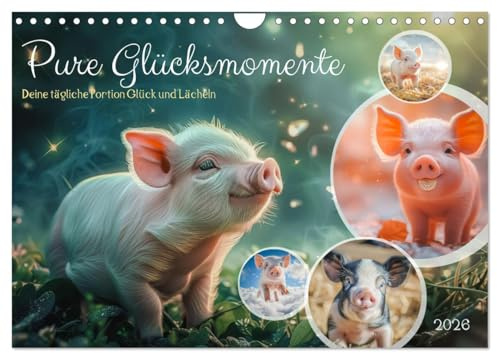 Pure Glücksmomente (Wandkalender 2026 DIN A4 quer), CALVENDO Monatskalender: Tauche ein in die fröhliche Welt der Glücksschweinchen! Unser Kalender ... Sprüchen durch das Jahr. (CALVENDO Tiere)