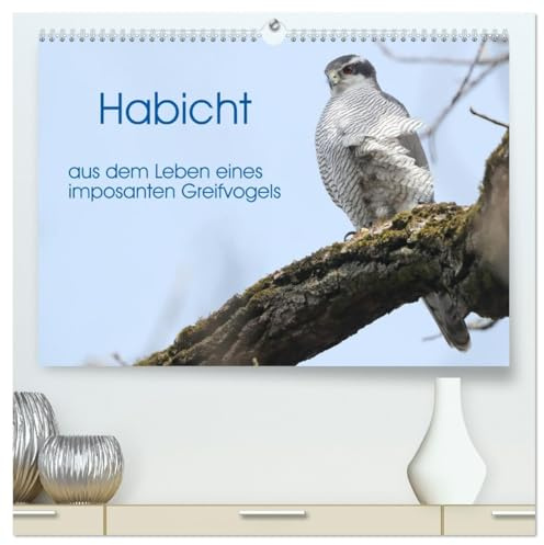 Habicht - aus dem Leben eines imposanten Greifvogels (hochwertiger Premium Wandkalender 2026 DIN A2 quer), Kunstdruck in Hochglanz: Die Abbildungen ... aus dem Leben der Habichte. (CALVENDO Tiere)