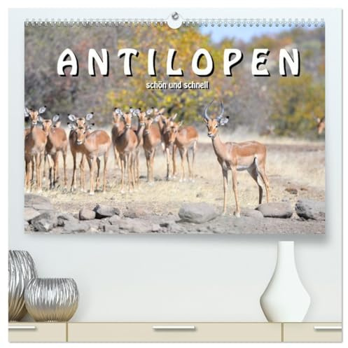 Antilopen, schön und schnell (hochwertiger Premium Wandkalender 2026 DIN A2 quer), Kunstdruck in Hochglanz: Von den zierlichen Thomson Gazellen bis zu ... afrikanische Antilopenwelt (CALVENDO Tiere)