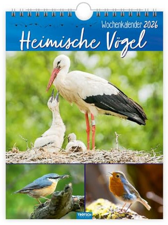 Trötsch Wochenkalender zum Hängen Heimische Vögel 2026: Wandkalender
