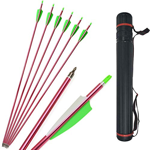 MILAEM 12 stücke 30 Zoll Bogenschießen Aluminium Pfeile Spine 500 Jagdpfeil Ziel Praxis für Compound und Recurve Bogen (Pfeile + Köcher)