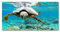 Tulup Impression sur verre de 120x60 cm Image Tableau Photo décorative panoramique pour la cuisine et le salon - Animaux - Tortue De Mer - Bleu