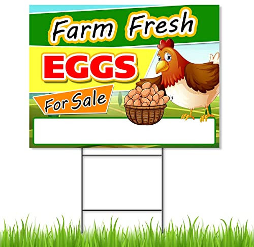 Panneau « Fresh Eggs for Sale » - 18 x 24 cm - Double face en coroplast - Grand panneau « Farm Fresh/We Sell Eggs »