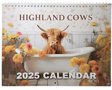 Highland Cows Kalender, 2025 Tischkalender, lustiger Hochlandkuh, Tierthemenkalender, 2025 Kalender, quadratisch, Kuh im Badezimmer, Spaß und einzigartiges Design zur Verwaltung von geschäftigen
