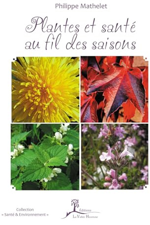Plantes et santé au fil des saisons