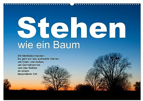 Stehen wie ein Baum (Wandkalender 2026 DIN A2 quer), CALVENDO Monatskalender: Bäume ermutigen zum aufrechten Stehen, zum Durchstehen von Situationen. (CALVENDO Glaube)