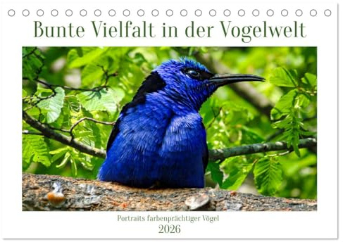 Bunte Vielfalt in der Vogelwelt (Tischkalender 2026 DIN A5 quer), CALVENDO Monatskalender: Farbenpracht im Vogelreich. (CALVENDO Tiere)