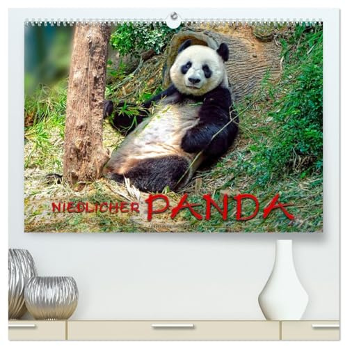 Niedlicher Panda (hochwertiger Premium Wandkalender 2026 DIN A2 quer), Kunstdruck in Hochglanz: Eindrucksvolle Bilder eines wunderschönen Tieres. (CALVENDO Tiere)