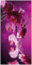 Wallario Design-Wanduhr Rosafarbene Orchidee Blüten in pink aus Glas, Motiv-Uhr Größe 30 x 60 cm, Schwarze Zeiger