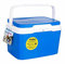 Acan Nevera portátil con asa, 5 litros, Polipropileno,Porta Alimentos para Playa, Acampada, Camping, 19 x 26 x 20 cm, Color Azul y Blanco