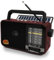 Radio Portatile con Pannello Solare e Batteria 1200mAh, Ricevitore AM/FM/SW con Altoparlante 8W/TWS/USB/TF, Radio Bluetooth Ricaricabile per Camping, Emergenza e Esterno (rosso)