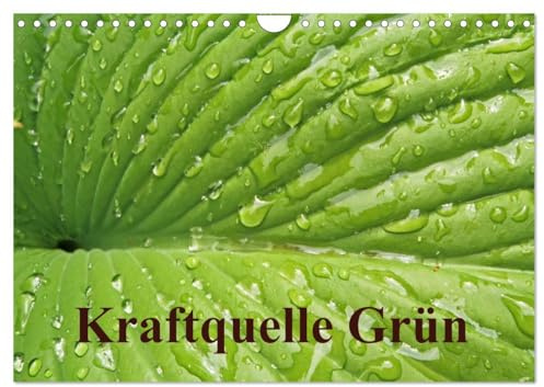Kraftquelle Grün (Wandkalender 2026 DIN A4 quer), CALVENDO Monatskalender: Grün ist die Farbe der Hoffnung, deshalb wird das junge Frühlingsgrün auch ... Kraft und Energie schenkt. (CALVENDO Natur)