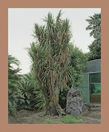 Oksun Kim: Jeju Island (Fotografie)