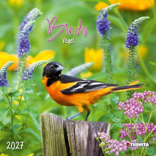 Birds 2027: Kalender 2027 (Wonderful World)