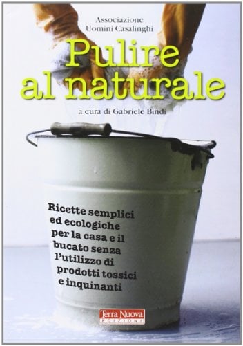 Pulire al naturale. Ricette semplici ed ecologiche per la casa e il bucato senza l'utilizzo di prodotti tossici e inquinanti