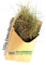 Heu-Heinrich® 100g Deko Bio-Heu - Dekoration - Ostern - Körbchen - Ostergras