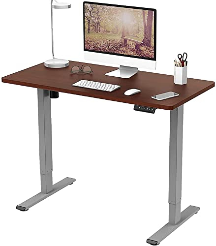 FLEXISPOT E1 Plus ONE PIECE Electric Standing Desk Height Adjustable Sit Stand Desk with Memory Smart Panel, Home Office(120 * 60cm, Gray Frame+Mahogany Desktop)