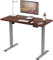 FLEXISPOT E1 Plus ONE PIECE Electric Standing Desk Height Adjustable Sit Stand Desk with Memory Smart Panel, Home Office(120 * 60cm, Gray Frame+Mahogany Desktop)