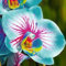 50 Piezas Semillas de Orquideas Naturales, semillas flores exterior todo el año, semillas plantas aromaticas, semillas de flores (Híbrido)