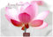 Flower Fantasy 2024 S 24x35cm