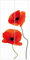 Bilderwelten Schiebegardinen - Charming Poppies Ohne Aufhängung, 2X á 250 x 60cm